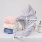 Quick Hair Drying Towel (01 পিস)