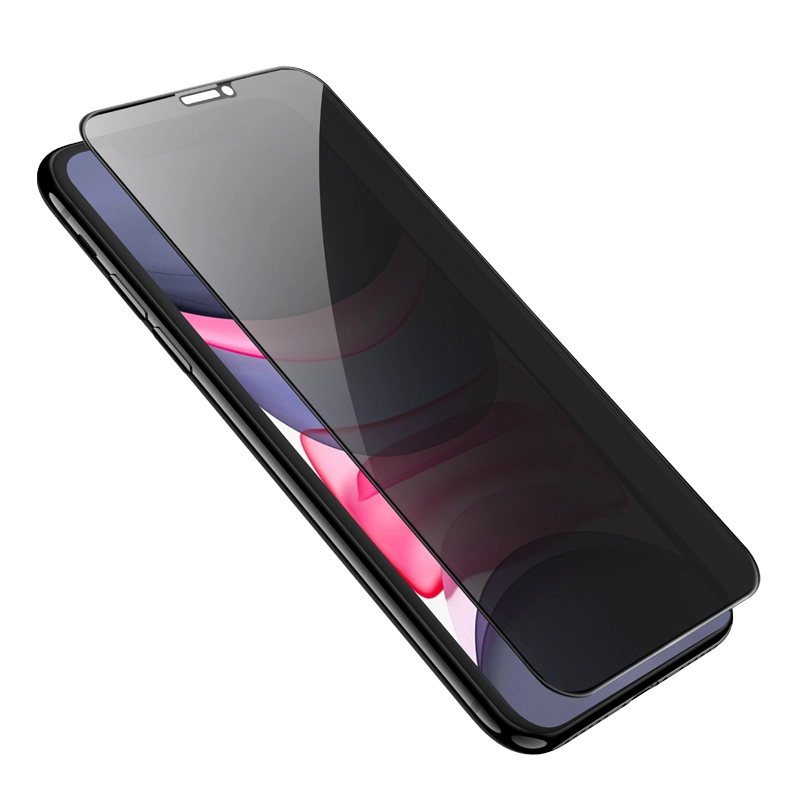 Hoco G15 Privacy Protection Tempered Glass For iPhone XS